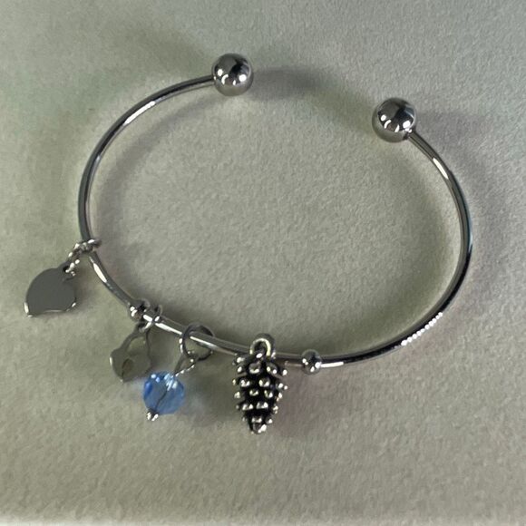Hallmark birthstone stainless steel bangle charm bracelet. 4 charms. - Picture 1 of 6